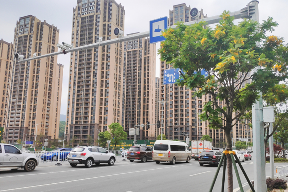 2023年某县数字城市项目