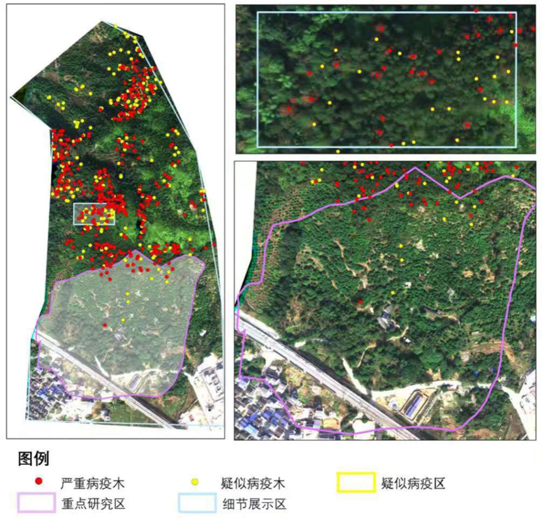 威廉希尔足球官网·(WilliamHill)中文官方网站