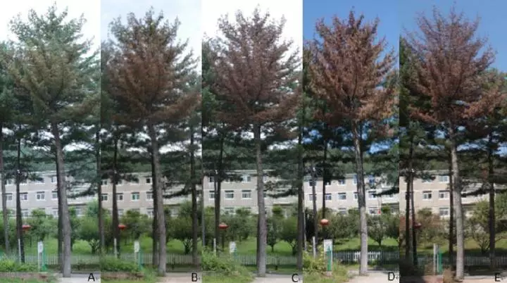 威廉希尔足球官网·(WilliamHill)中文官方网站