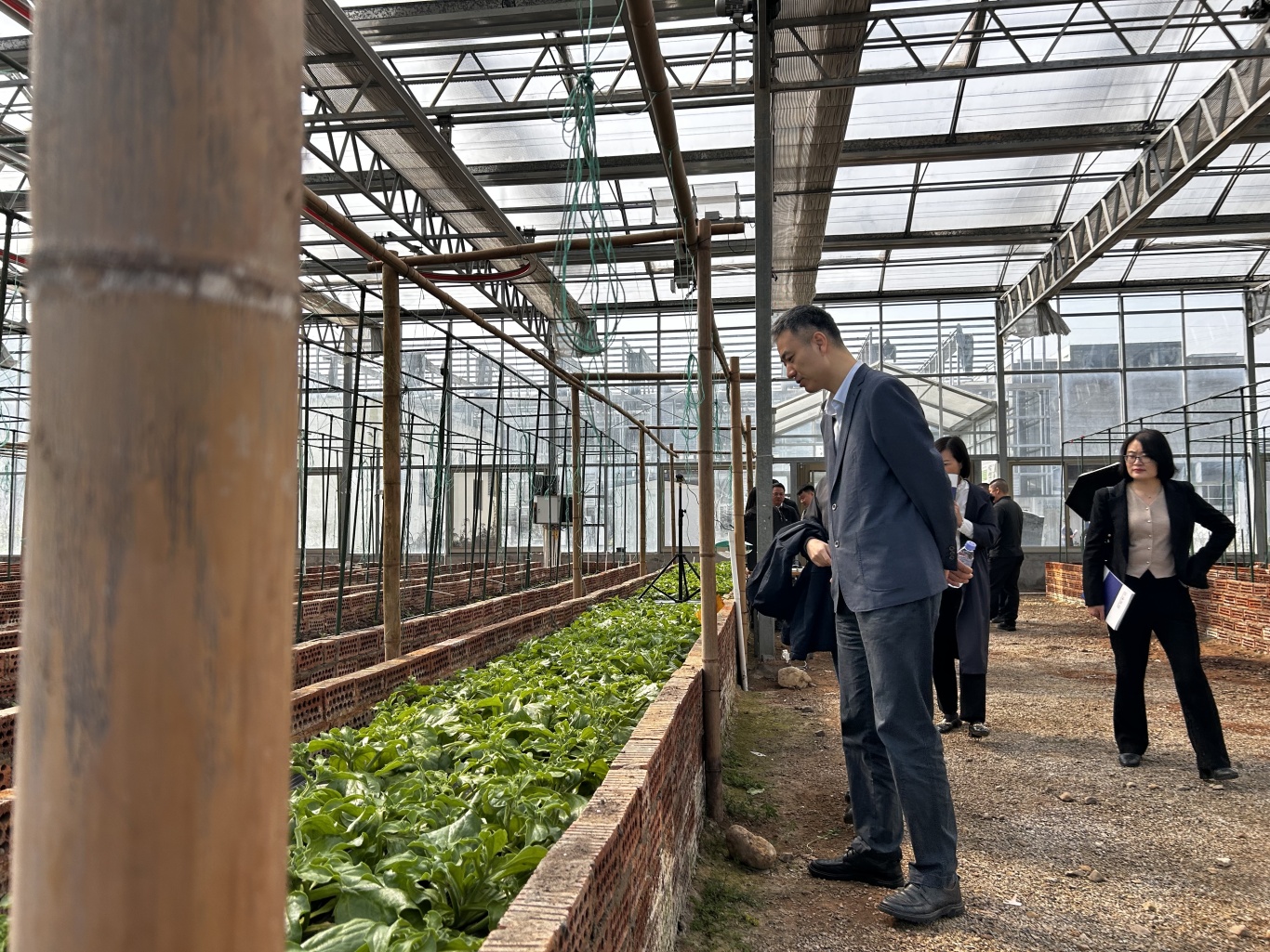 威廉希尔足球官网·(WilliamHill)中文官方网站