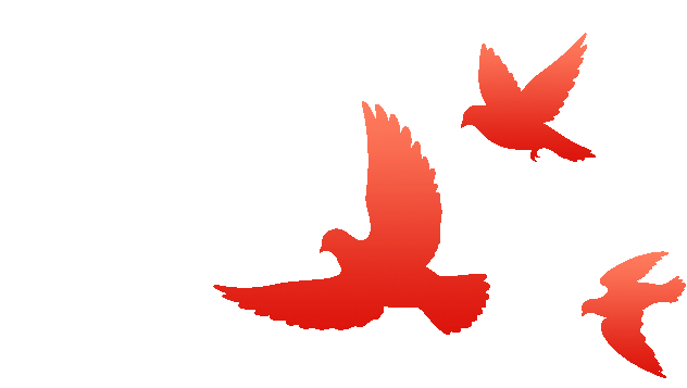 威廉希尔足球官网·(WilliamHill)中文官方网站