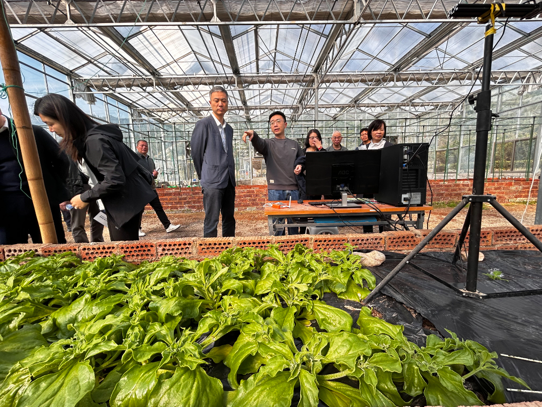 威廉希尔足球官网·(WilliamHill)中文官方网站